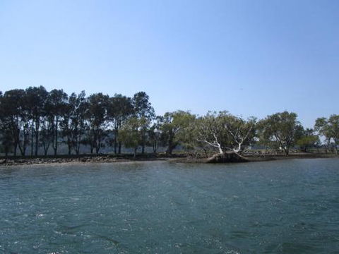 Yarralen Retreat - Accommodation Newcastle 0