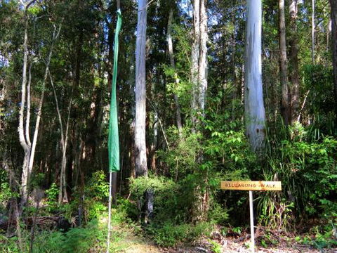 Yarralen Retreat - Accommodation Newcastle 4