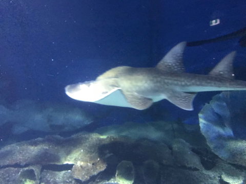 Bayviews Apartment - Accommodation Newcastle 6