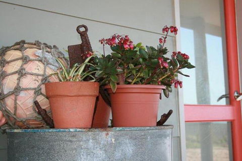 Bremer Bay B & B - Accommodation Newcastle 2