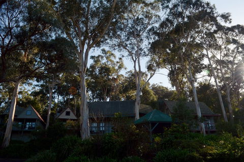 Great Ocean Road Cottages - Accommodation Newcastle 1