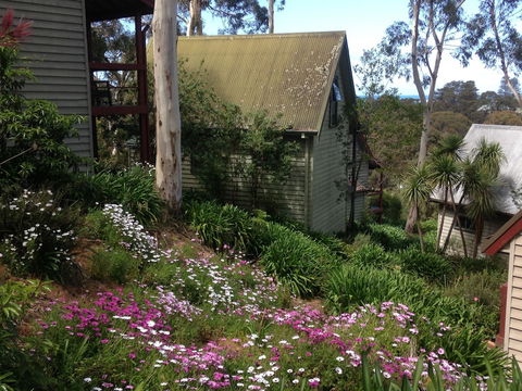 Great Ocean Road Cottages - Accommodation Newcastle 2