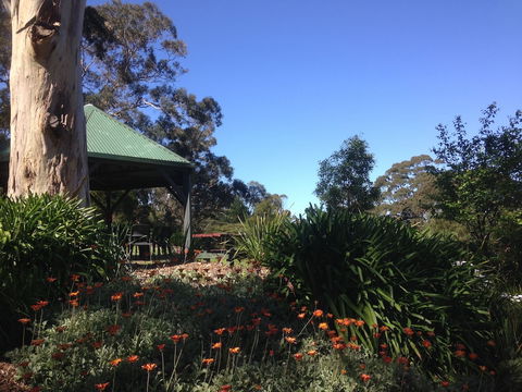 Great Ocean Road Cottages - Accommodation Newcastle 5