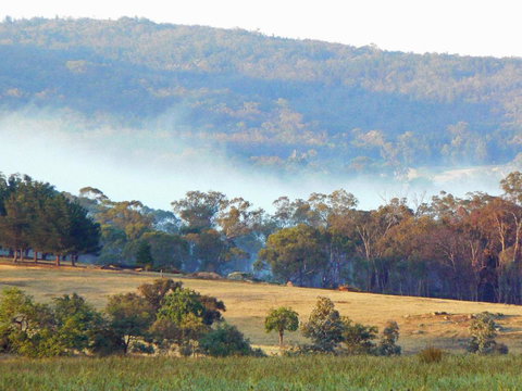 Candlebark Retreat - Accommodation Newcastle 5