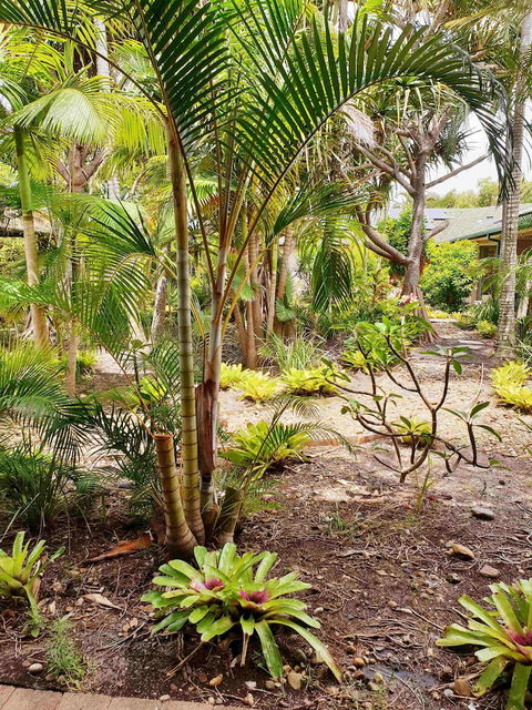Ballina Beach Resort - Accommodation Newcastle 3