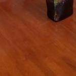 Bayswater North VIC Accommodation Newcastle