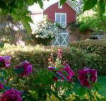 A Country Barn Retreat - Accommodation Newcastle