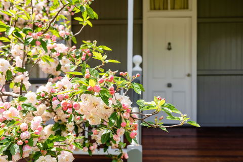 Apple Blossom Cottage - Accommodation Newcastle 0