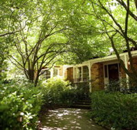 Leura Camellias - Accommodation Newcastle