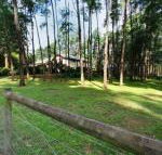 Fernglade on Menzies - Accommodation Newcastle