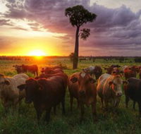 Myella Farm Stay - Accommodation Newcastle