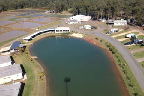 Australian Motor Homes Tourist Park - Accommodation Newcastle 2