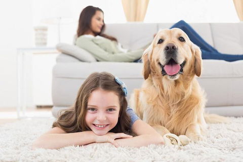 BOUTIQUE STAYS - South Yarra Lane - Accommodation Newcastle 4