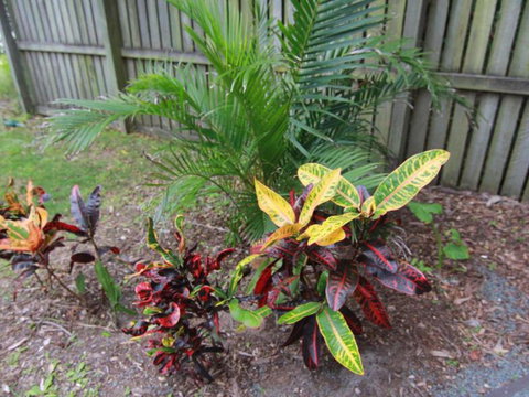 Beachside - Accommodation Newcastle 4