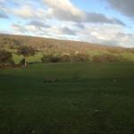 Mancuso Country Cottage Retreat - Accommodation Newcastle 0