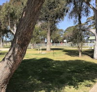 Swan Reach Holiday Park - Accommodation Newcastle