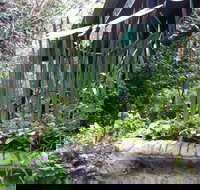 Lemonade Creek Cottages - Accommodation Newcastle