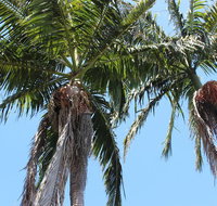 Tri Byron Bay - Accommodation Newcastle