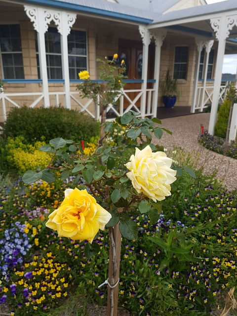 Grovely House Bed & Breakfast - Accommodation Newcastle 3