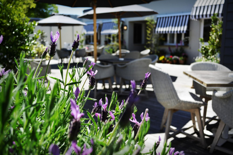 Royal Hotel Bowral - Accommodation Newcastle 3