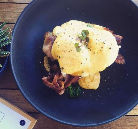Raita Noda Chef's Kitchen - Accommodation Newcastle 5