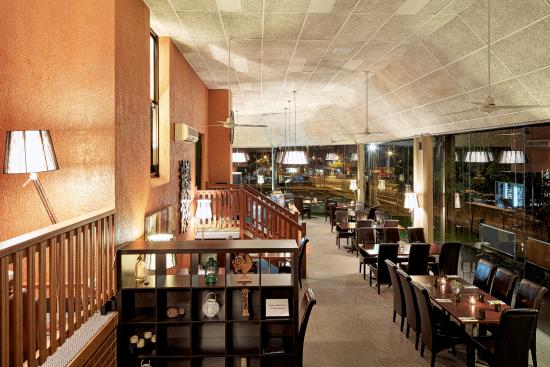 Errinundra VIC Accommodation Newcastle