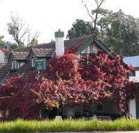 Fetching Treasures - Accommodation Newcastle