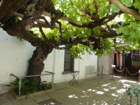 The Vine - Accommodation Newcastle 0