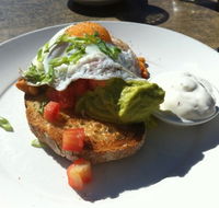 Bellyfish Cafe - Accommodation Newcastle