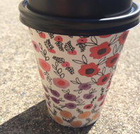 Scatter Bean - Accommodation Newcastle