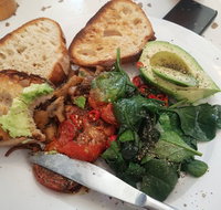 Gold Fish Bowl - Accommodation Newcastle