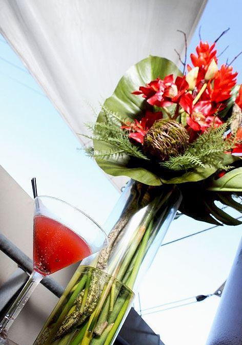 Elephant Rock Cafe Bar & Restaurant - Accommodation Newcastle 1