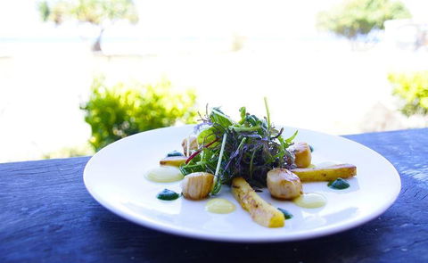 Elephant Rock Cafe Bar & Restaurant - Accommodation Newcastle 23