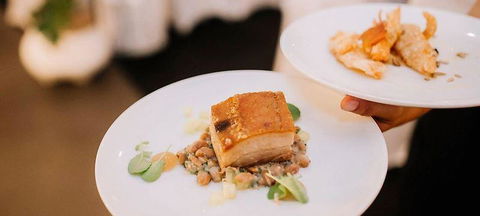 Oskars On Burleigh - Accommodation Newcastle 1