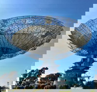 Dish Cafe - Accommodation Newcastle