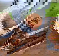 Hello Harry - Accommodation Newcastle