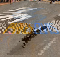 Wholesome Blend - Accommodation Newcastle