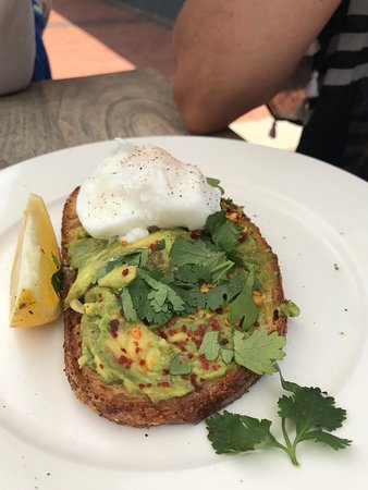 Picketts Valley NSW Accommodation Newcastle