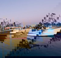 Clarence River Fishermen's Co-Operative - Accommodation Newcastle