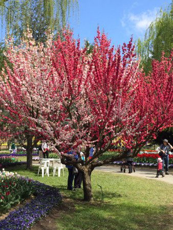 Ngunnawal ACT Accommodation Newcastle