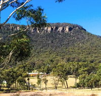 The Lolly Bug - Accommodation Newcastle