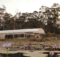 Abundance Cafe and Garden Centre - Accommodation Newcastle