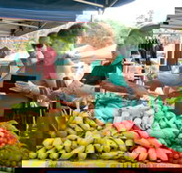Newrybar Farmers Market - Accommodation Newcastle