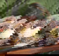 Parmi Bandit - Accommodation Newcastle