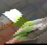 Bean 2 Taste - Accommodation Newcastle