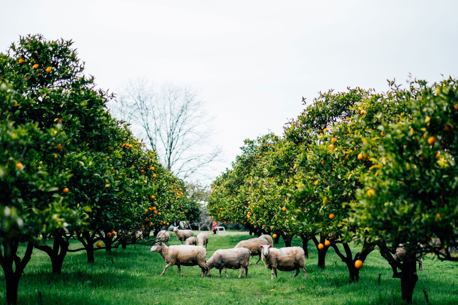 Accommodation Newcastle