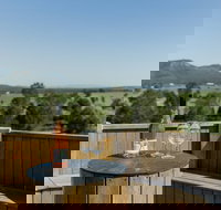 Constable Estate Vineyard - Accommodation Newcastle