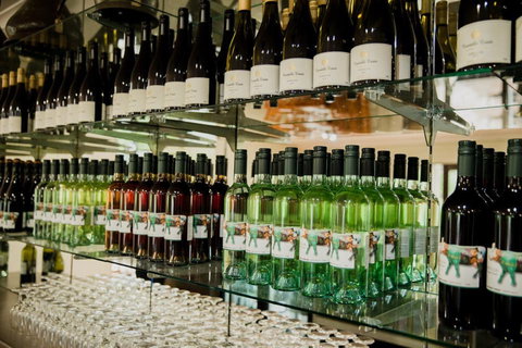 Constable Estate Vineyard - Accommodation Newcastle 2