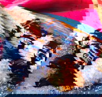 Donut King - Frankston - Accommodation Newcastle