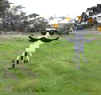 Heard it on the Grapevine - Accommodation Newcastle